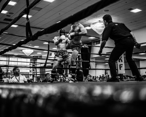 Fight Photo by Wade Austin Ellis